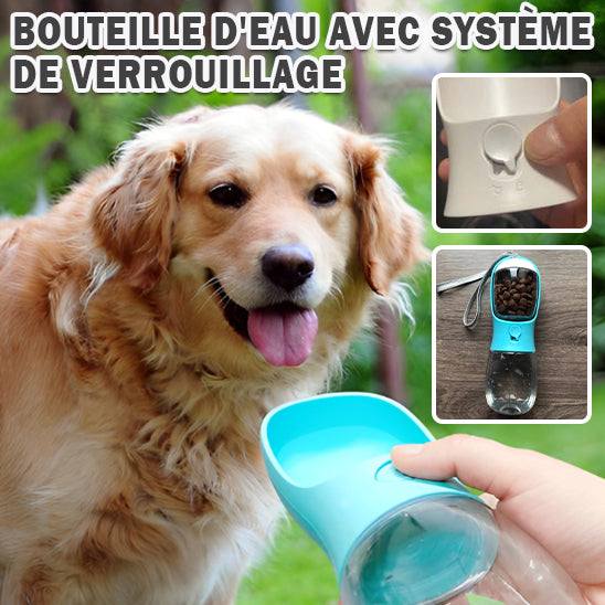 gourde pour chien