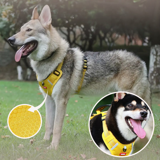 Harnais chien Anti-Traction /HarnessGrip™