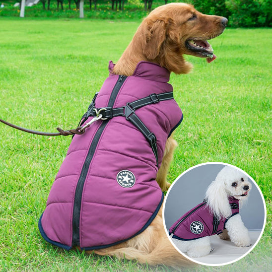Harnais pour Chien Manteau WarmCoatâą