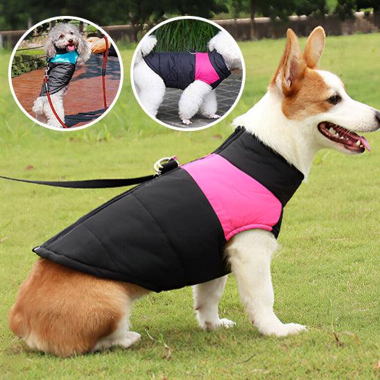 Manteau pour Chien