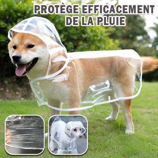 Manteau pour Chien