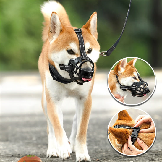 Muselière pour Chien /AiryMuzzle™