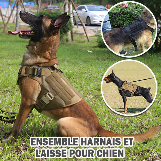 Le harnais chien idéal/HarnessVest ™