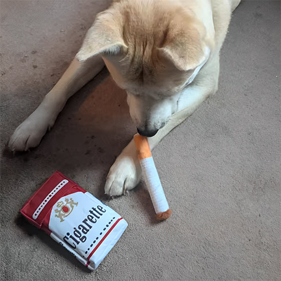 Jouet pour chien cigarettes/SmokingToyâą