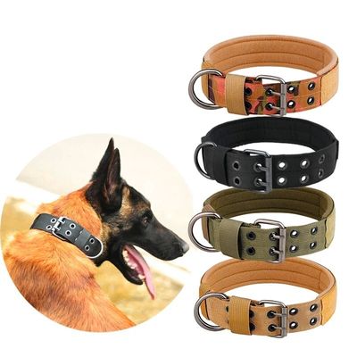 Collier chien- choisir le bon collier.
