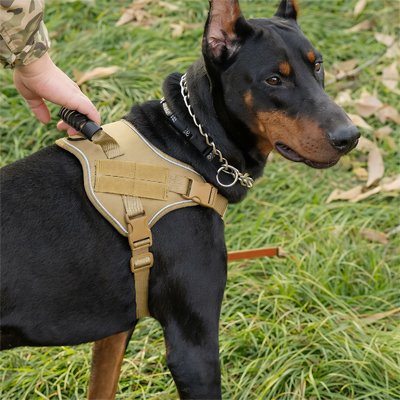 harnais pour chien guide