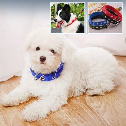 Collier pour Chien NekStrap™