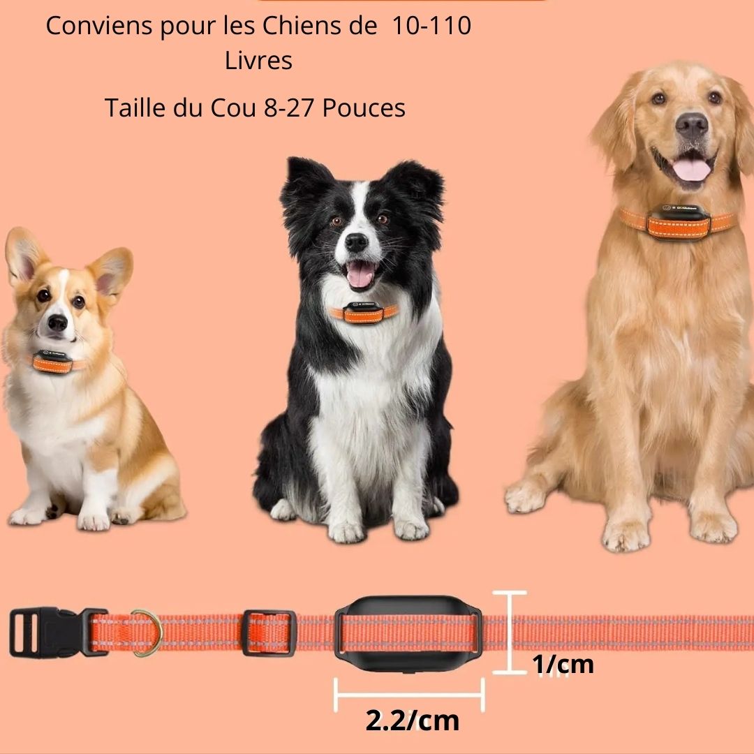 Collier de Dressage pour Chien / Vibrant ViibratingTower ™