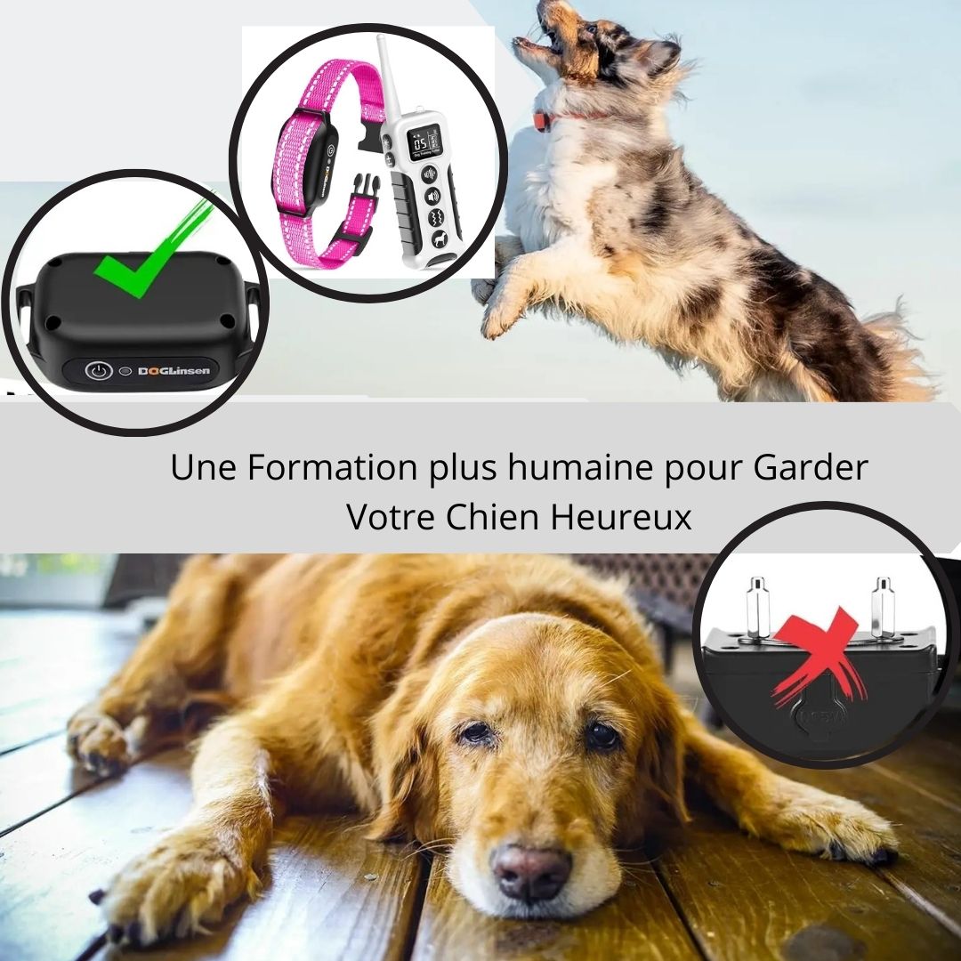 Collier de Dressage pour Chien / Vibrant ViibratingTower ™