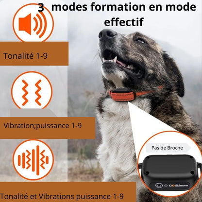 Collier de Dressage pour Chien / Vibrant ViibratingTower ™