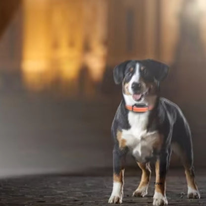 Collier de Dressage pour Chien / Vibrant ViibratingTower ™