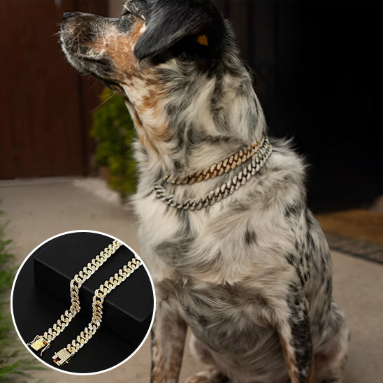 Collier pour Chien  Luxe / DogStyle™