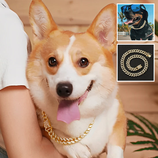 Collier pour Chien  Luxe / DogStyle™