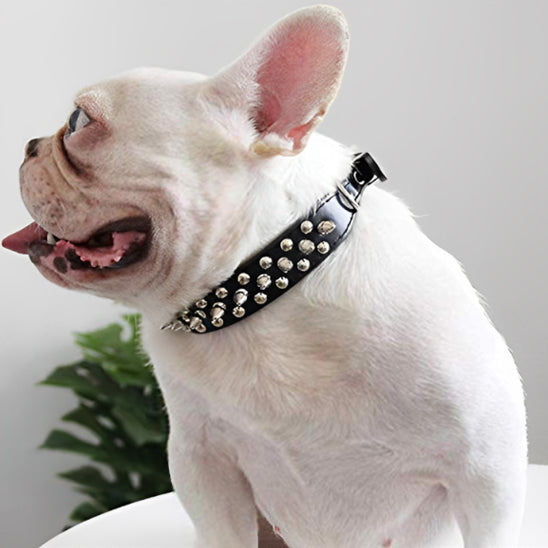 Collier Chien / cuir clouté rock NailStrip™