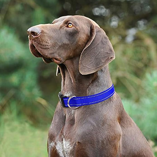 Collier pour Chien Nylon  Reflaichissant/ HardLink™