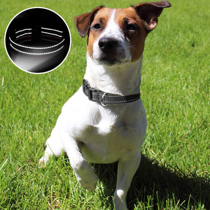 Collier pour Chien Nylon  Reflaichissant/ HardLink™