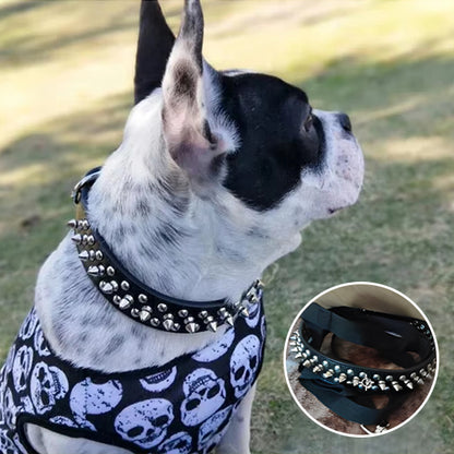 Collier Chien / cuir clouté rock NailStrip™