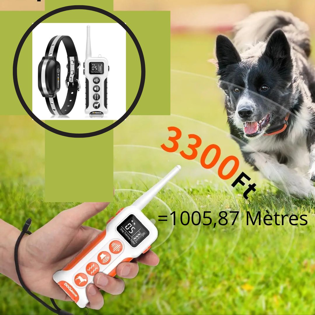 Collier de Dressage pour Chien / Vibrant ViibratingTower ™