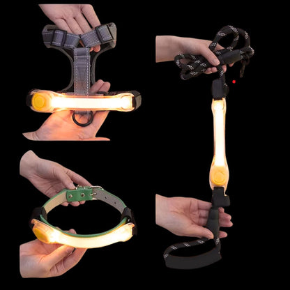 Collier Lumineux Chien/ LumiBand ™