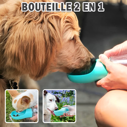 Gourde pour Chien/ BotleOut™