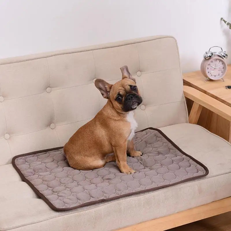 Tapis rafraichissant chien/refreschCarpet ™
