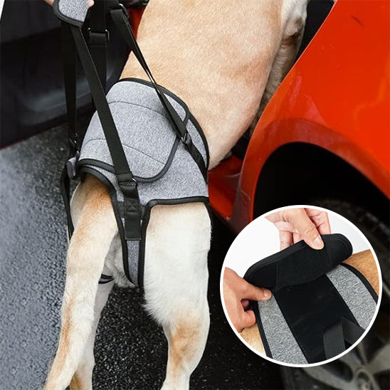 Harnais pour chien soutien pattes arrière/ SupportLeg ™