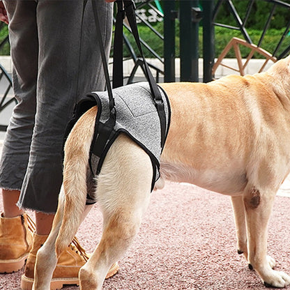 Harnais pour chien soutien pattes arrière/ SupportLeg ™