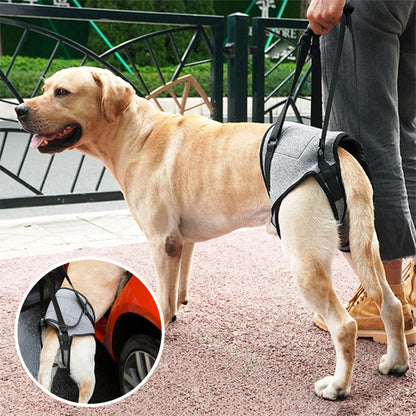 Harnais pour chien soutien pattes arrière/ SupportLeg ™