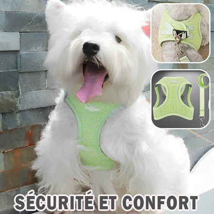Harnais pour Petit Chien/ LittleHarness
