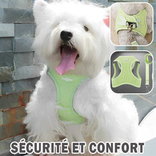 Harnais pour Petit Chien/ LittleHarness