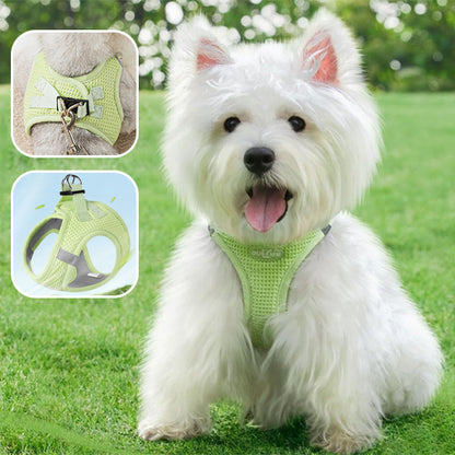 Harnais pour Petit Chien/ LittleHarness