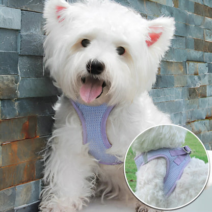 Harnais pour Petit Chien/ LittleHarness