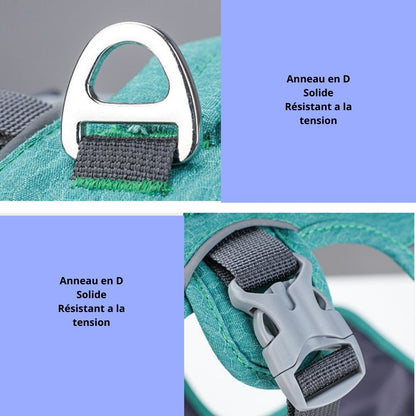 Le harnais pour chien/TripleStrap™