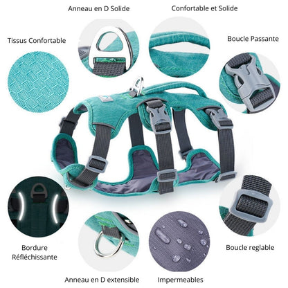 Le harnais pour chien/TripleStrap™
