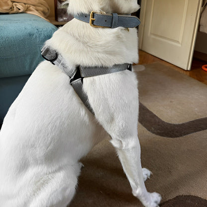 harnais chien Y/ BretellesSuspendes ™