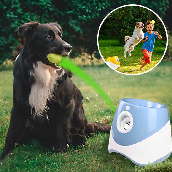 Jouet Chien / Lanceur de balle AirBall ™