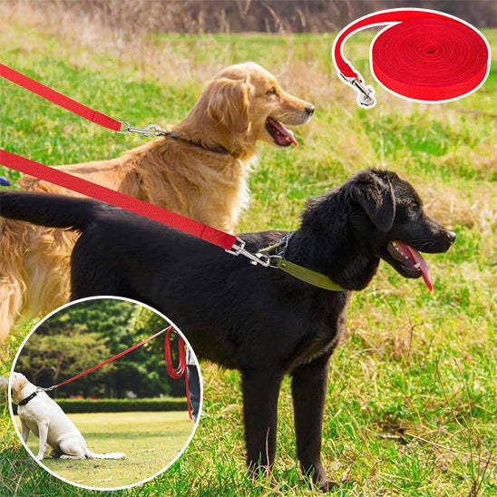 Laisse Chien/Formation TrainedDog™