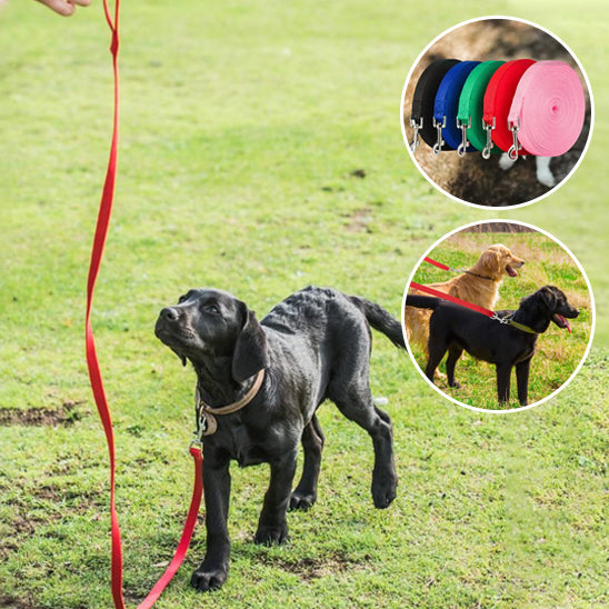 Laisse Chien/Formation TrainedDog™