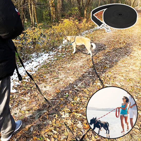 Laisse Chien/Formation TrainedDog™