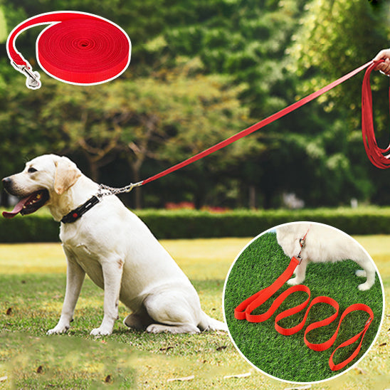 Laisse Chien/Formation TrainedDog™