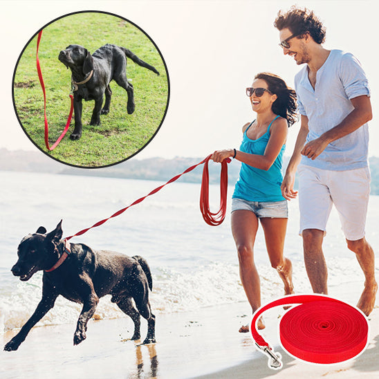 Laisse Chien/Formation TrainedDog™