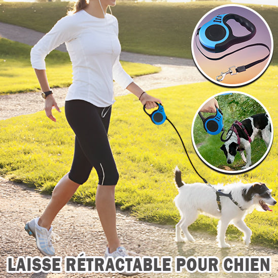 Laisses pour chien  rétractables/ QuikClik™