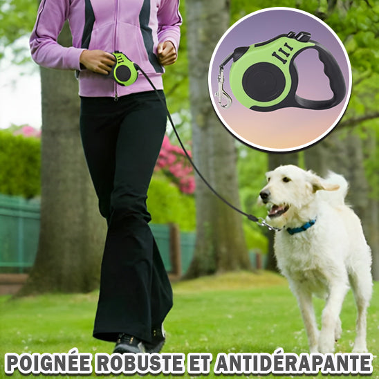 Laisses pour chien  rétractables/ QuikClik™