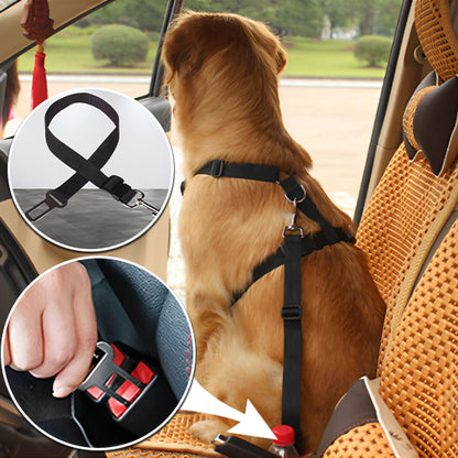 Laisses pour Chien ceinture sécu / SafeWalks™
