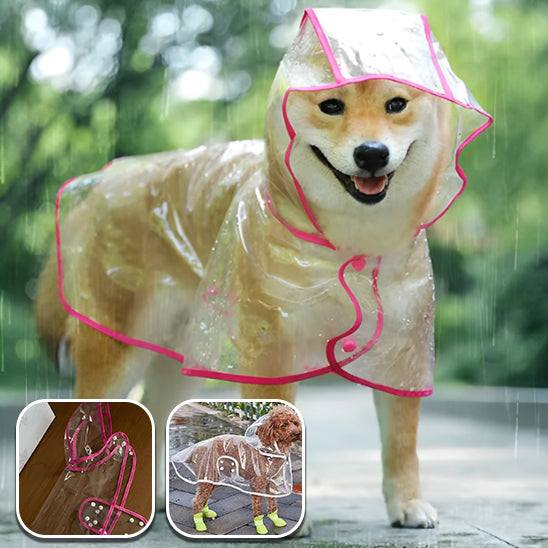 Manteau pour Chien