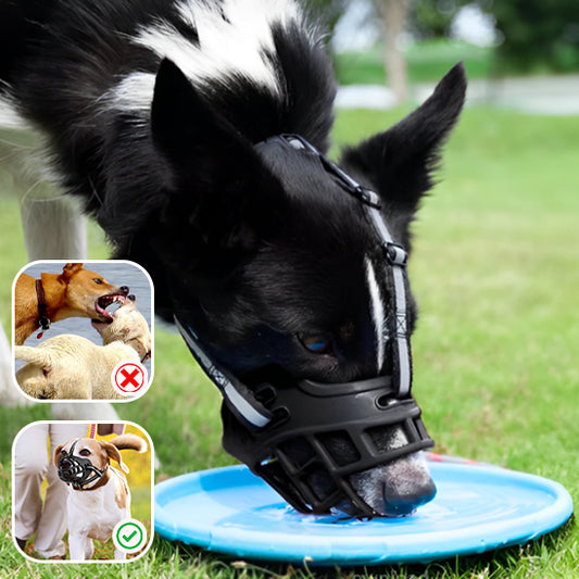 Muselière pour Chien /AiryMuzzle™