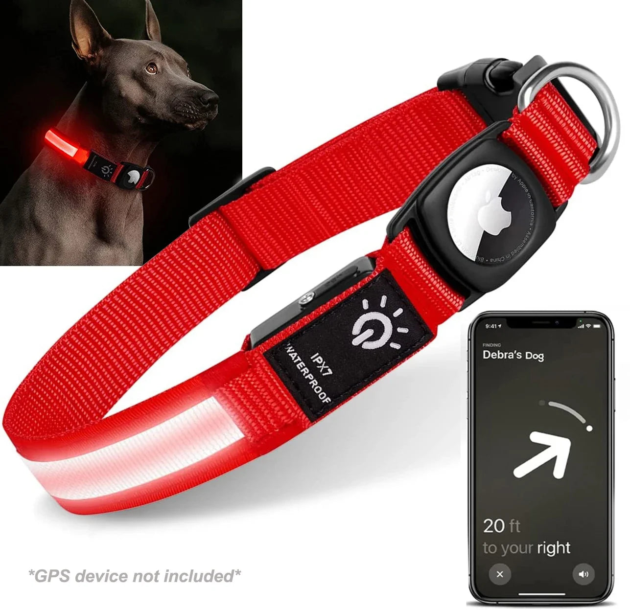 Collier GPS chien éclairé