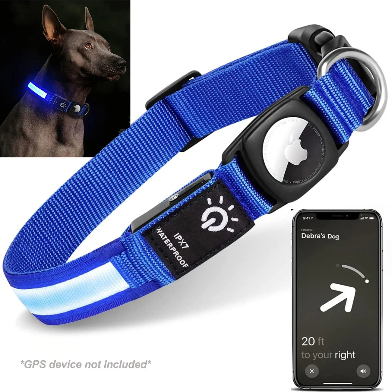 Collier GPS chien éclairé