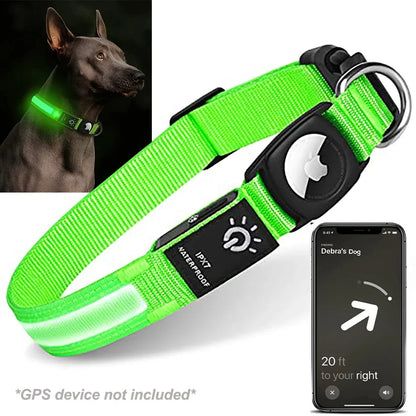 Collier GPS chien éclairé