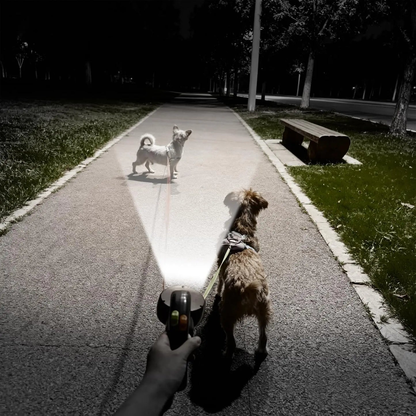 laisse double pour chien |13,6 kl,| bigdoglesh™